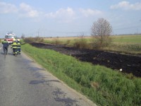 Požiar trávnatého porastu, Nový život, Malý Madaras